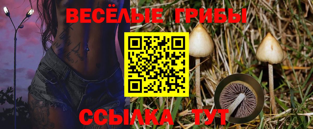 Галлюциногенные грибы прущие грибы  Галлюциногенные грибы MAGIC MUSHROOMS  где купить наркоту  Вход с VPN  Кудымкар 